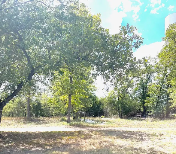 A sunlit outdoor scene with green trees casting shade on a grassy, slightly dry field. The sky is partly cloudy with patches of blue visible through the tree branches.